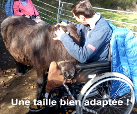 Une taille vraiment adaptée...